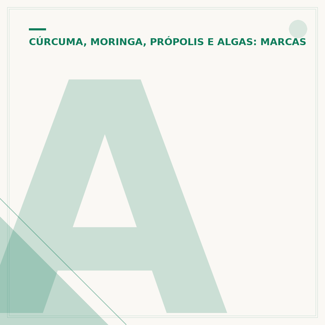 Açafrão e cúrcuma: entenda a diferença entre eles