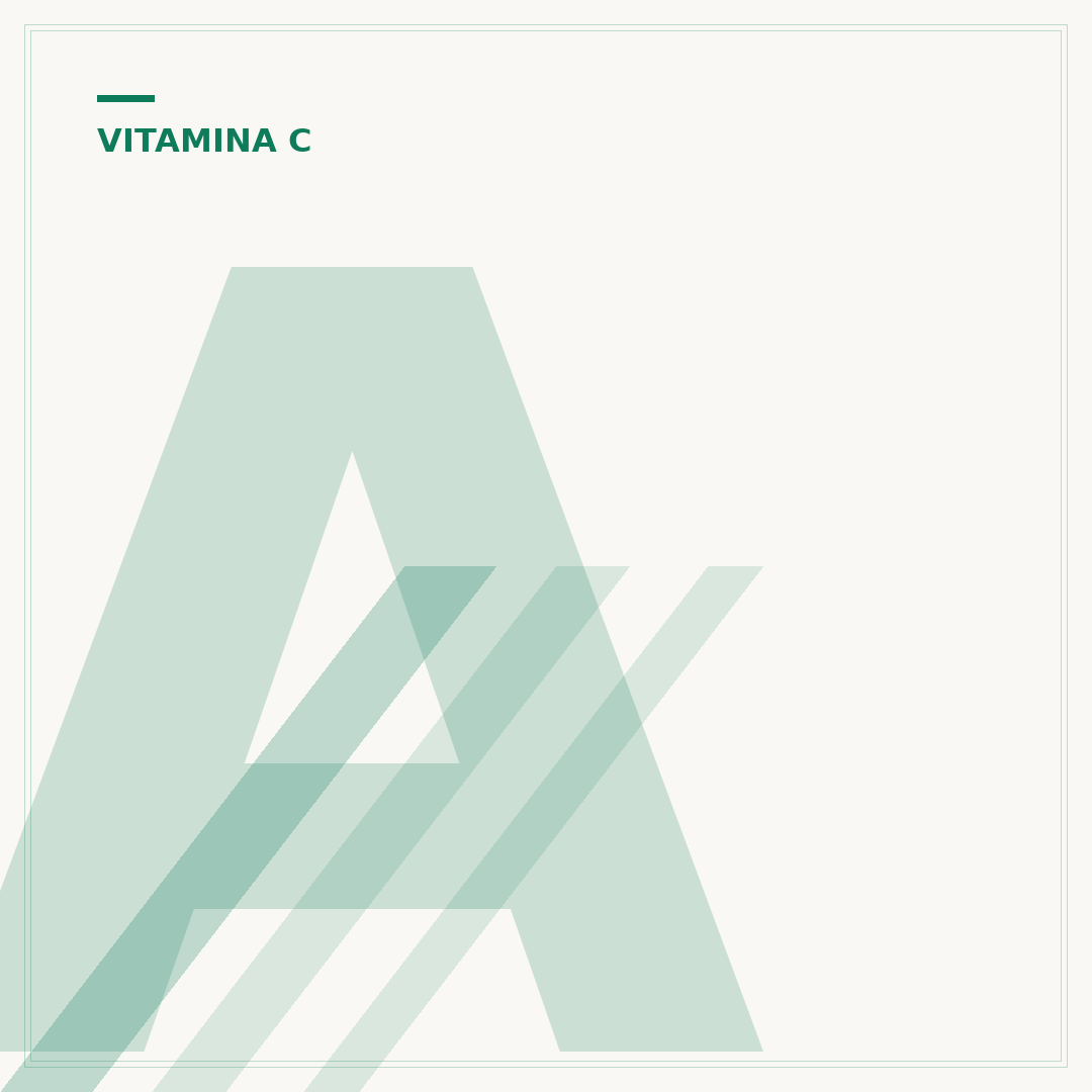 Alimentos ricos em vitamina c para fortalecer sua saúde