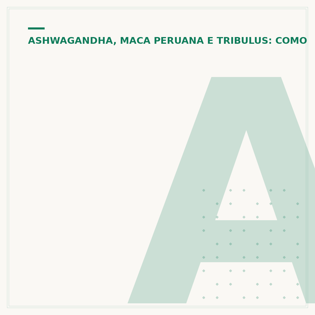 Ashwagandha dose diária: o que você precisa saber