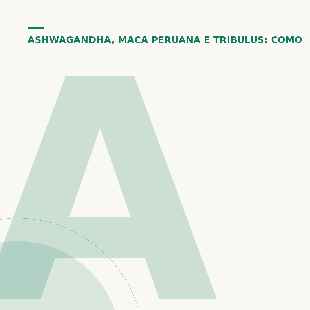 Ashwagandha: para que serve e como tomar corretamente