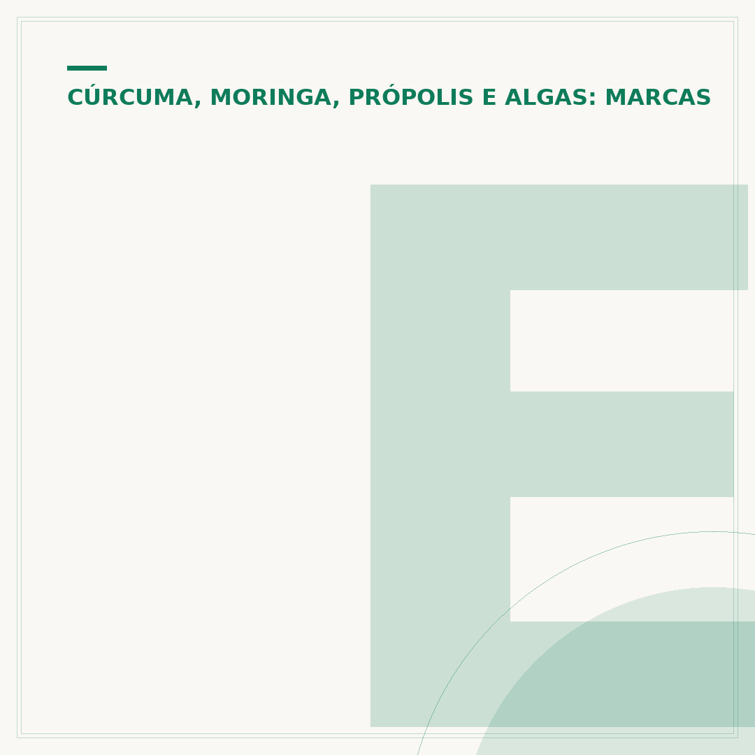 Erva moringa: benefícios, uso e onde encontrar