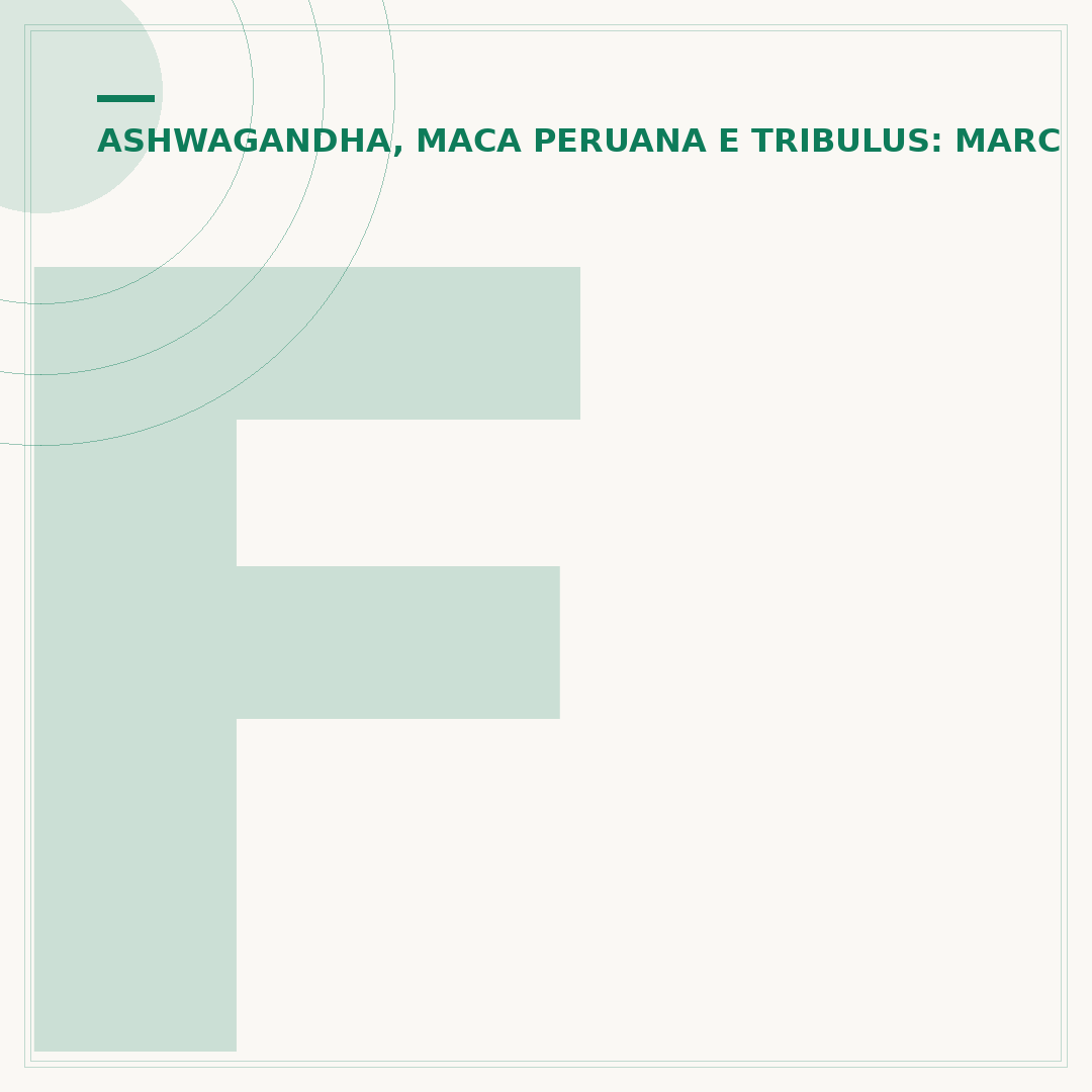 Farinha de maca peruana