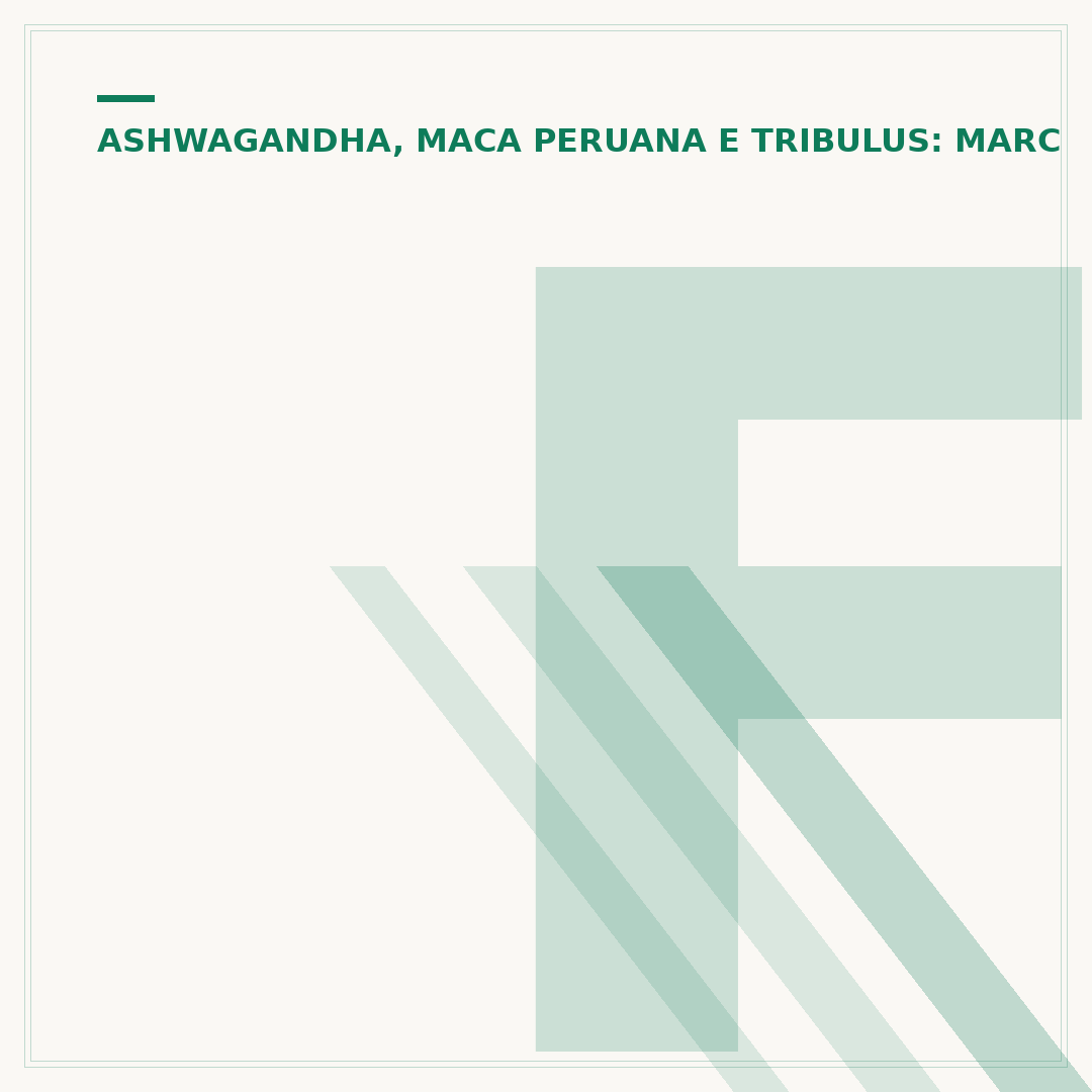 Feno grego, maca peruana e tribulus terrestris