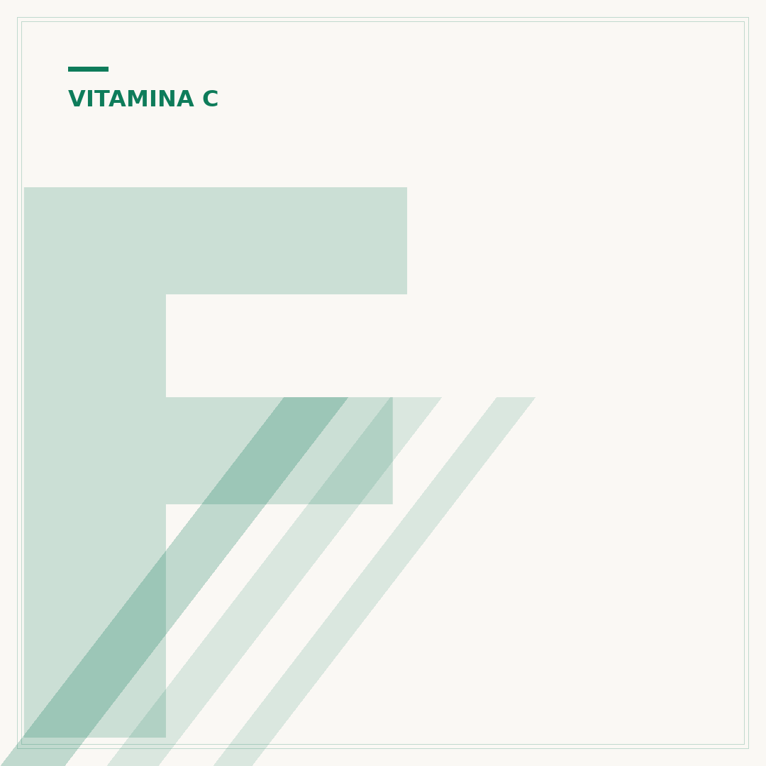 Fontes alimentares da vitamina c: o que comer e porquê