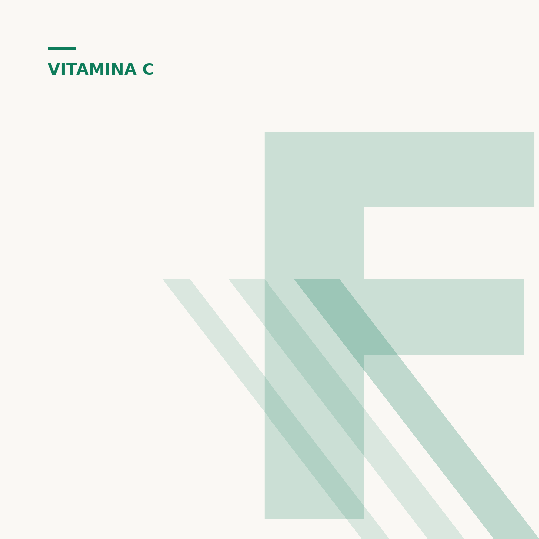 Fontes de vitamina C na alimentação