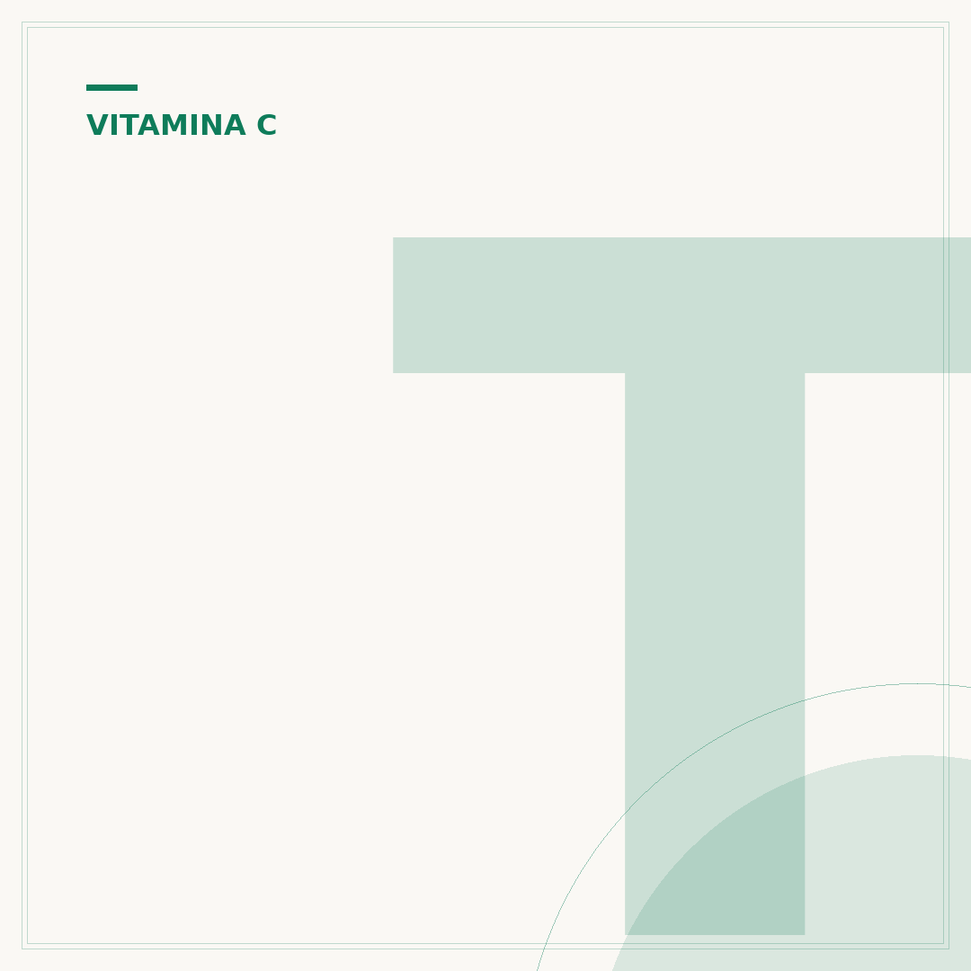 Top 10 frutas com mais vitamina c para sua saúde