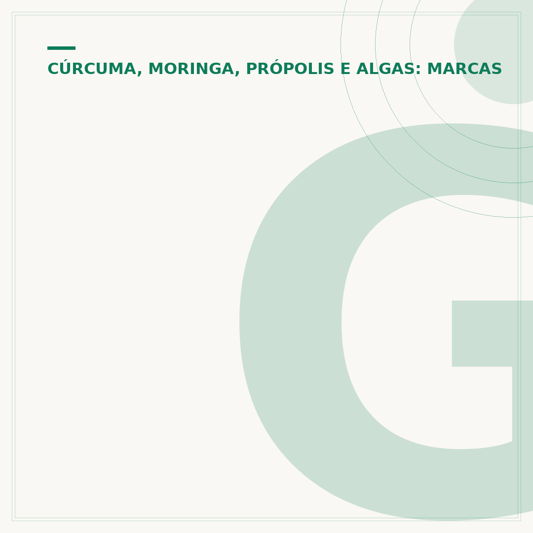 Garrafa moringa: o que é e benefícios para hidratação