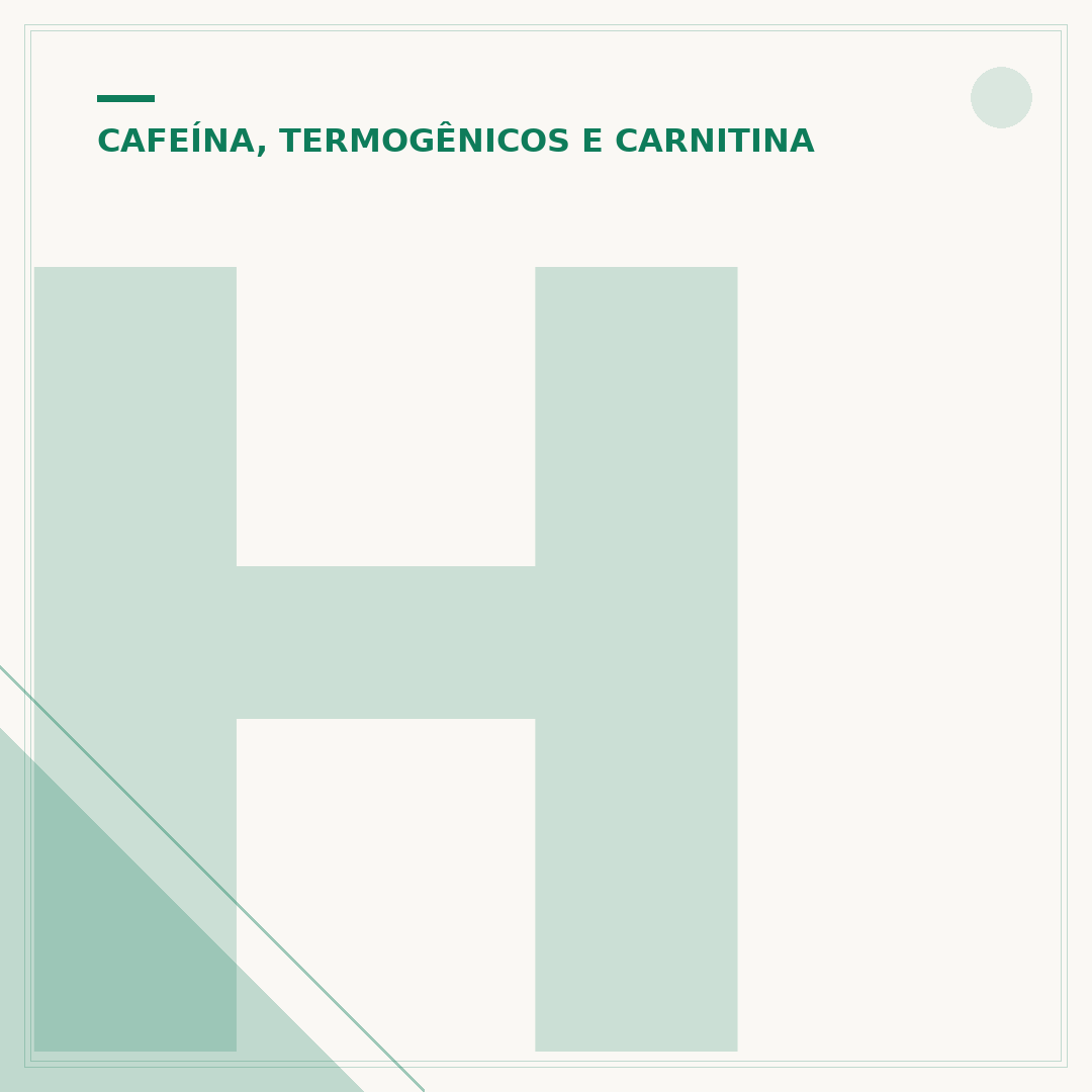 Hot Termogênico