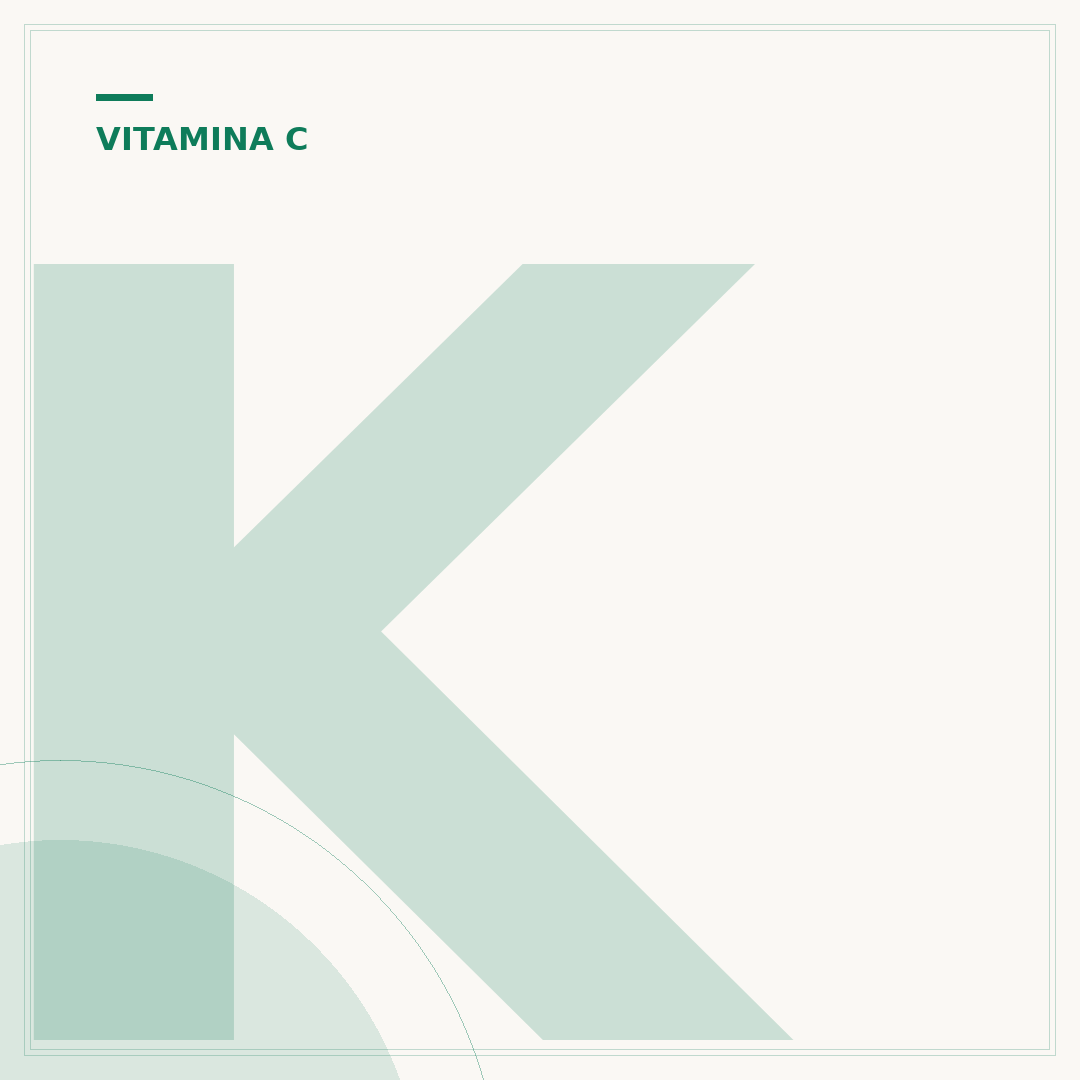 Kiwi tem vitamina c? Entenda os benefícios