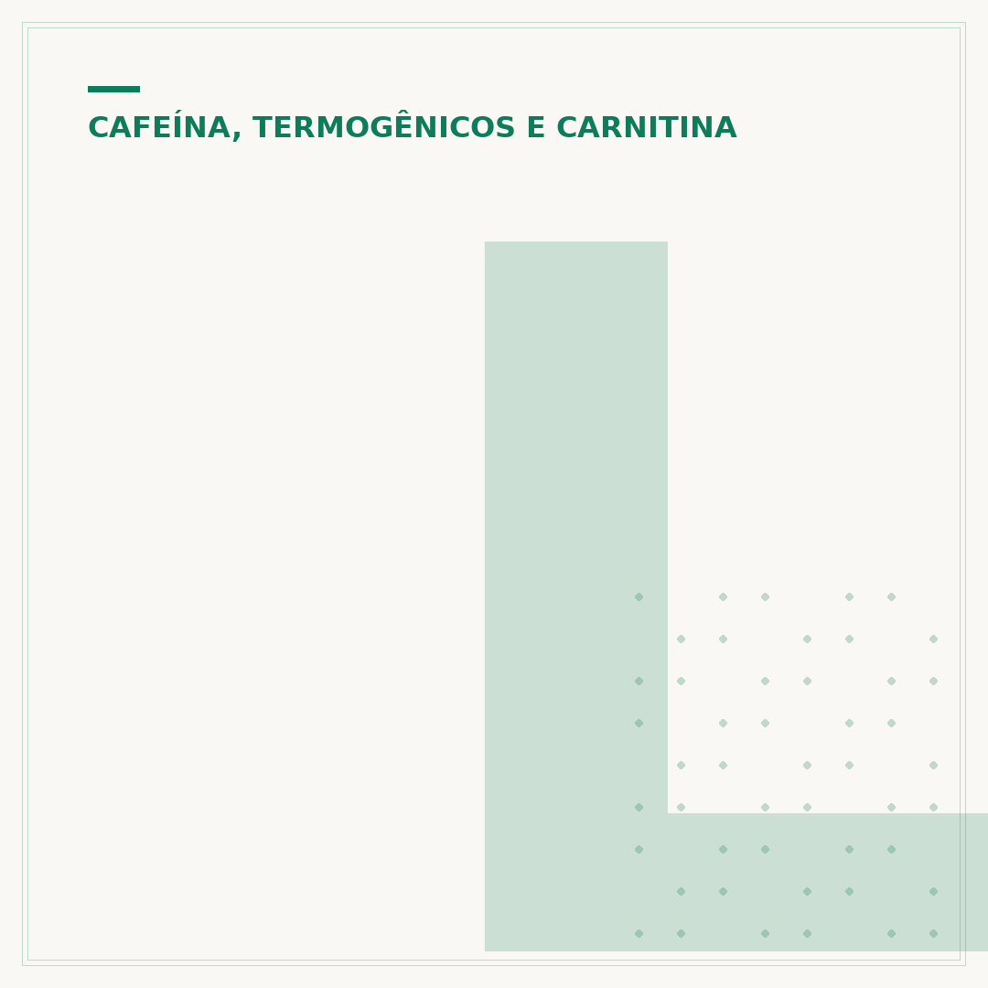 L-carnitina queima gordura abdominal?