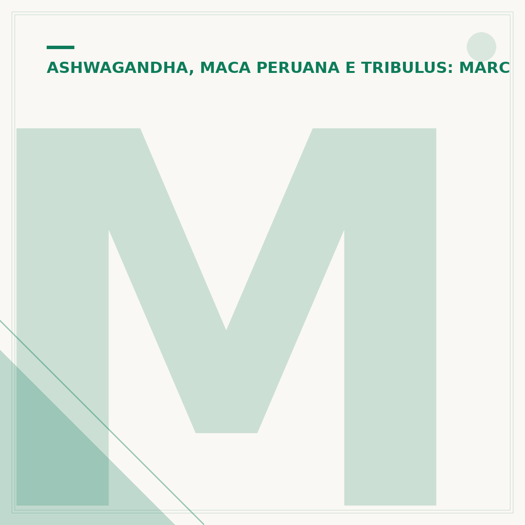 Marapuama e Maca Peruana: Aliados para o Bem-Estar