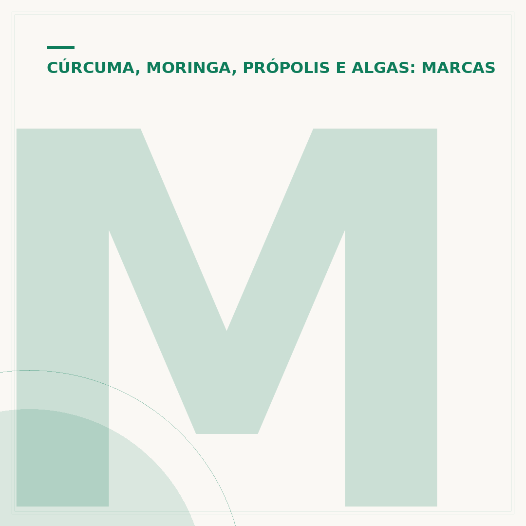 Mel com própolis: benefícios e como usar com segurança