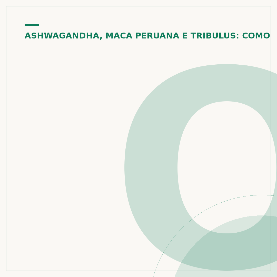 O melhor horário para tomar ashwagandha