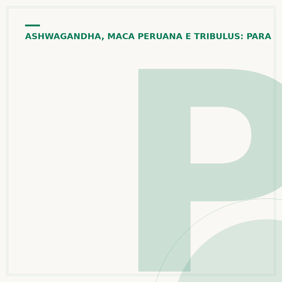 Para que serve ashwagandha em cápsulas: benefícios e uso