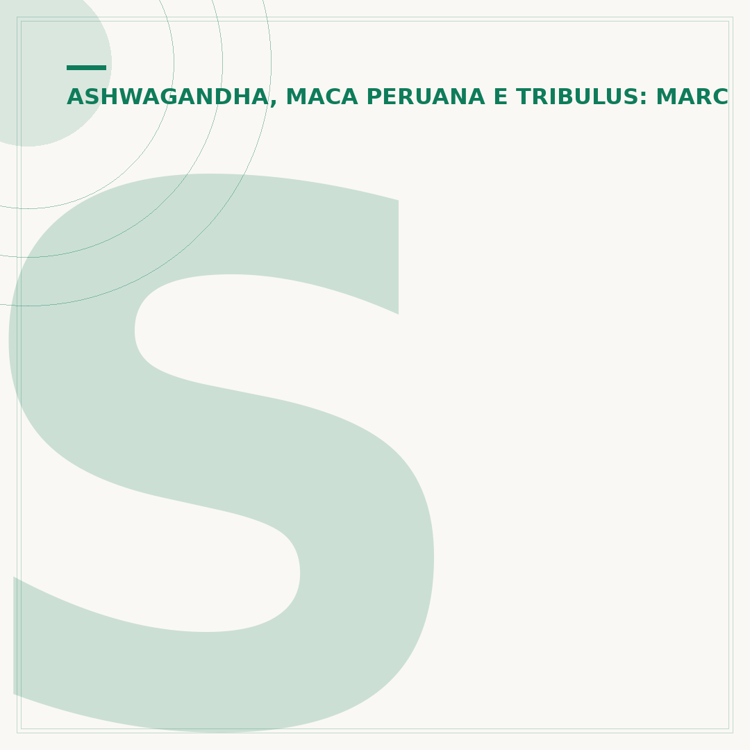 Sensoril ashwagandha: o que é e para que serve