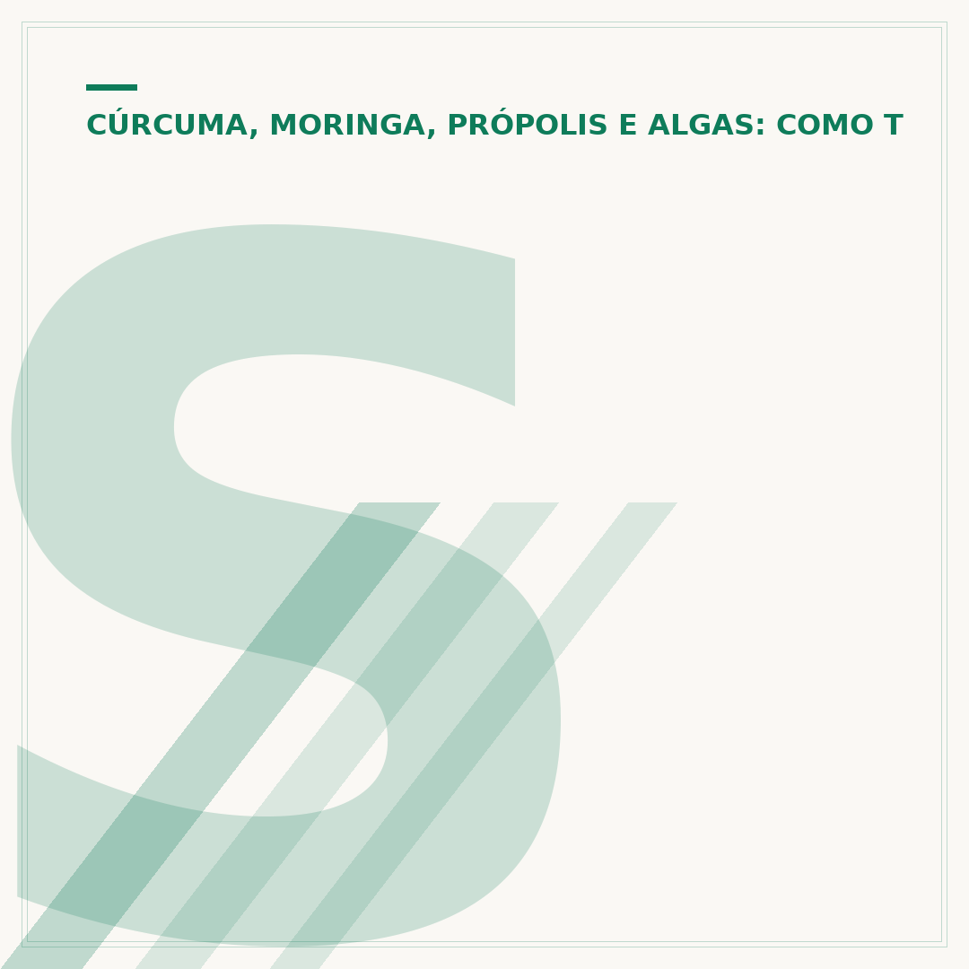 Spirulina: para que serve e como tomar corretamente
