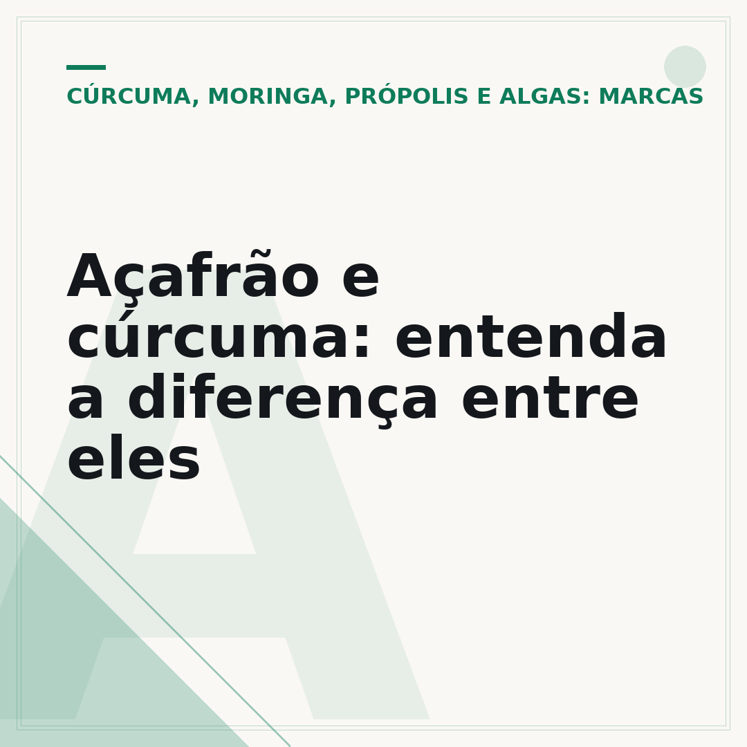 Açafrão e cúrcuma: entenda a diferença entre eles