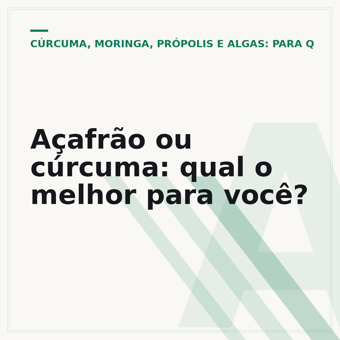 Açafrão ou cúrcuma: qual o melhor para você?