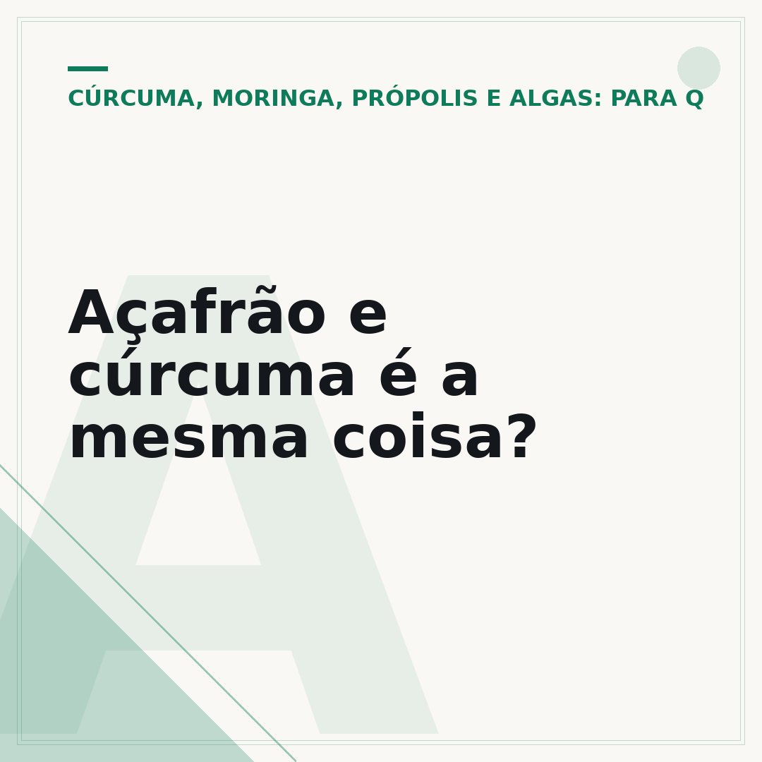 Açafrão e cúrcuma é a mesma coisa?