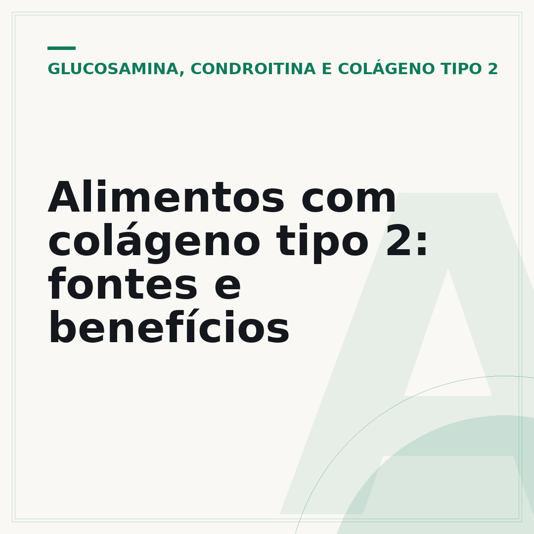 Alimentos com colágeno tipo 2: fontes e benefícios