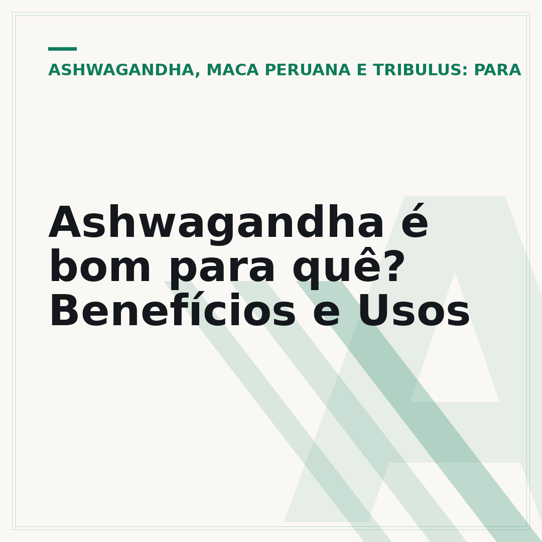 Ashwagandha é bom para quê? Benefícios e Usos
