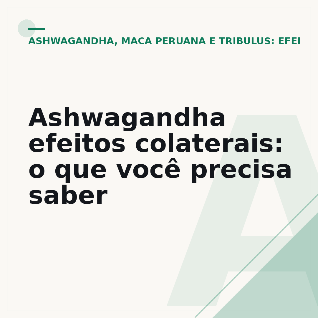 Ashwagandha efeitos colaterais: o que você precisa saber