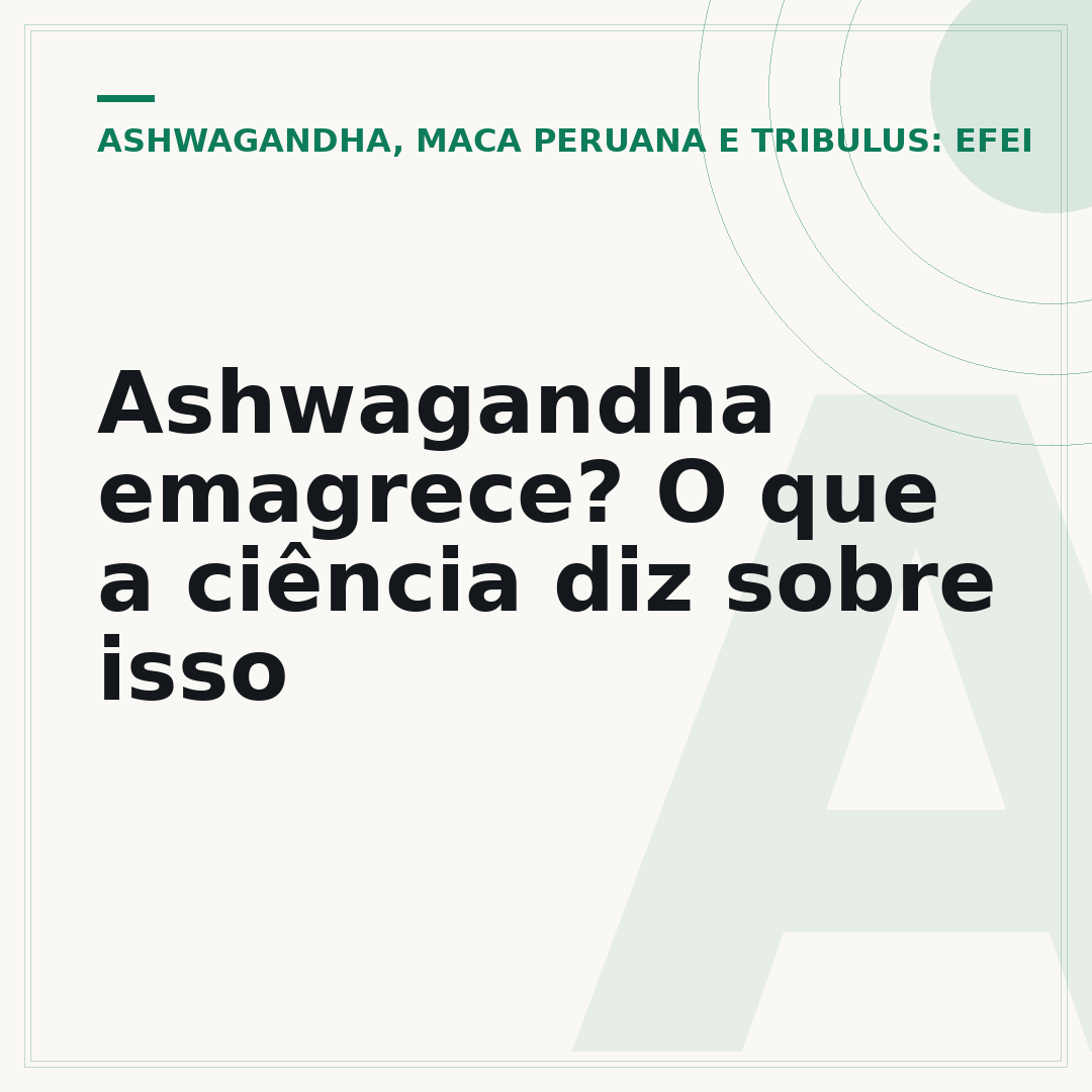 Ashwagandha emagrece? O que a ciência diz sobre isso