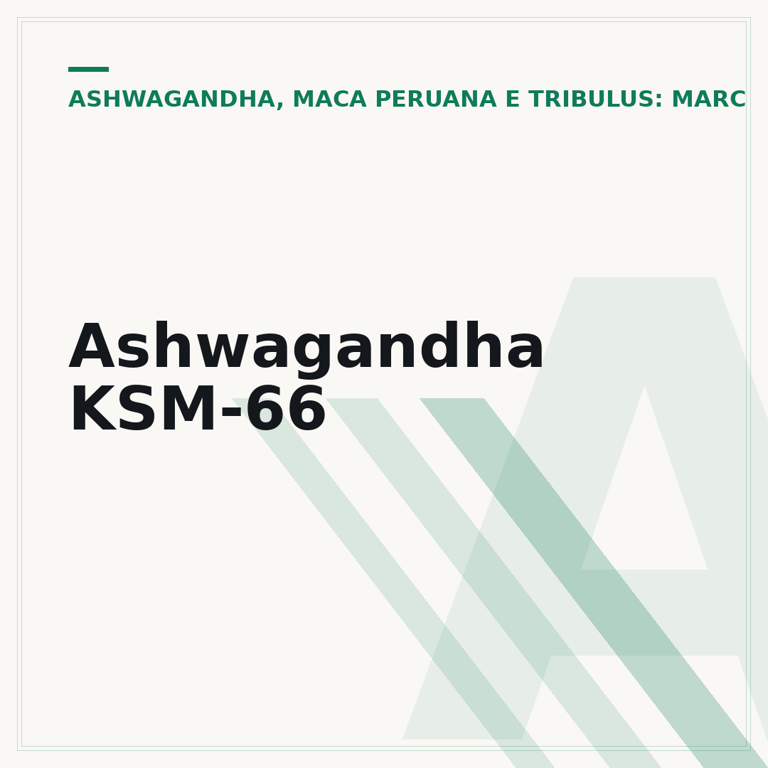 Ashwagandha KSM-66