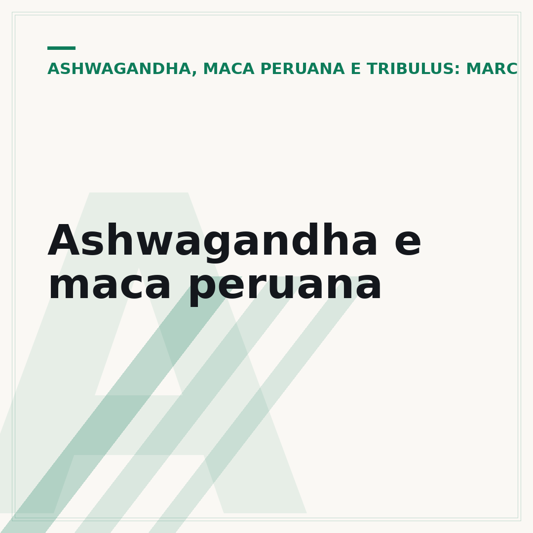 Ashwagandha e maca peruana