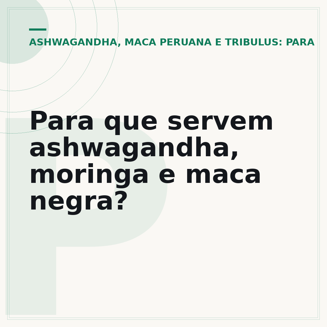 Para que servem ashwagandha, moringa e maca negra?