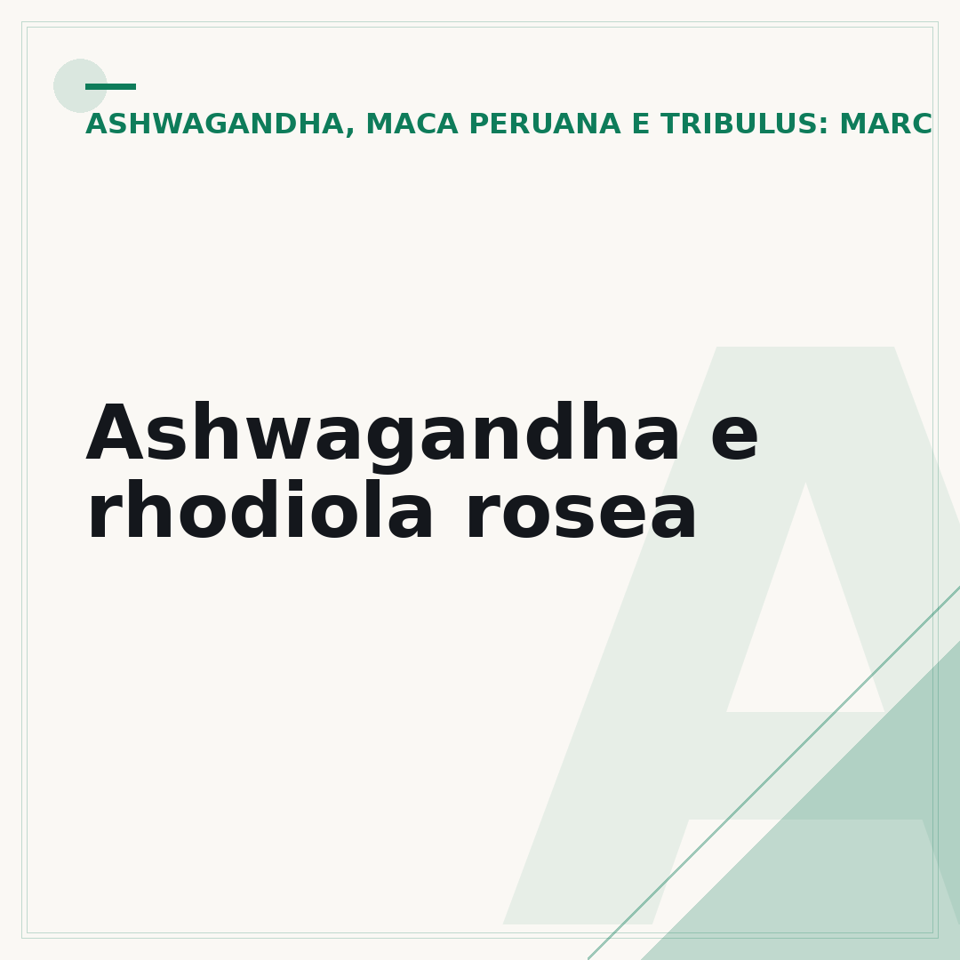 Ashwagandha e rhodiola rosea