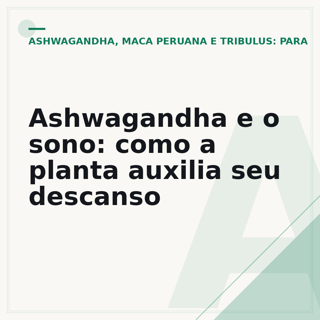 Ashwagandha e o sono: como a planta auxilia seu descanso