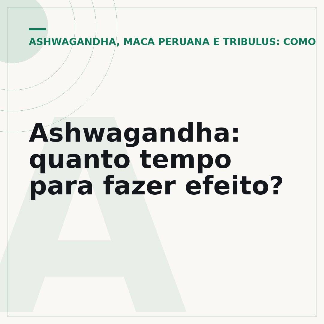 Ashwagandha: quanto tempo para fazer efeito?