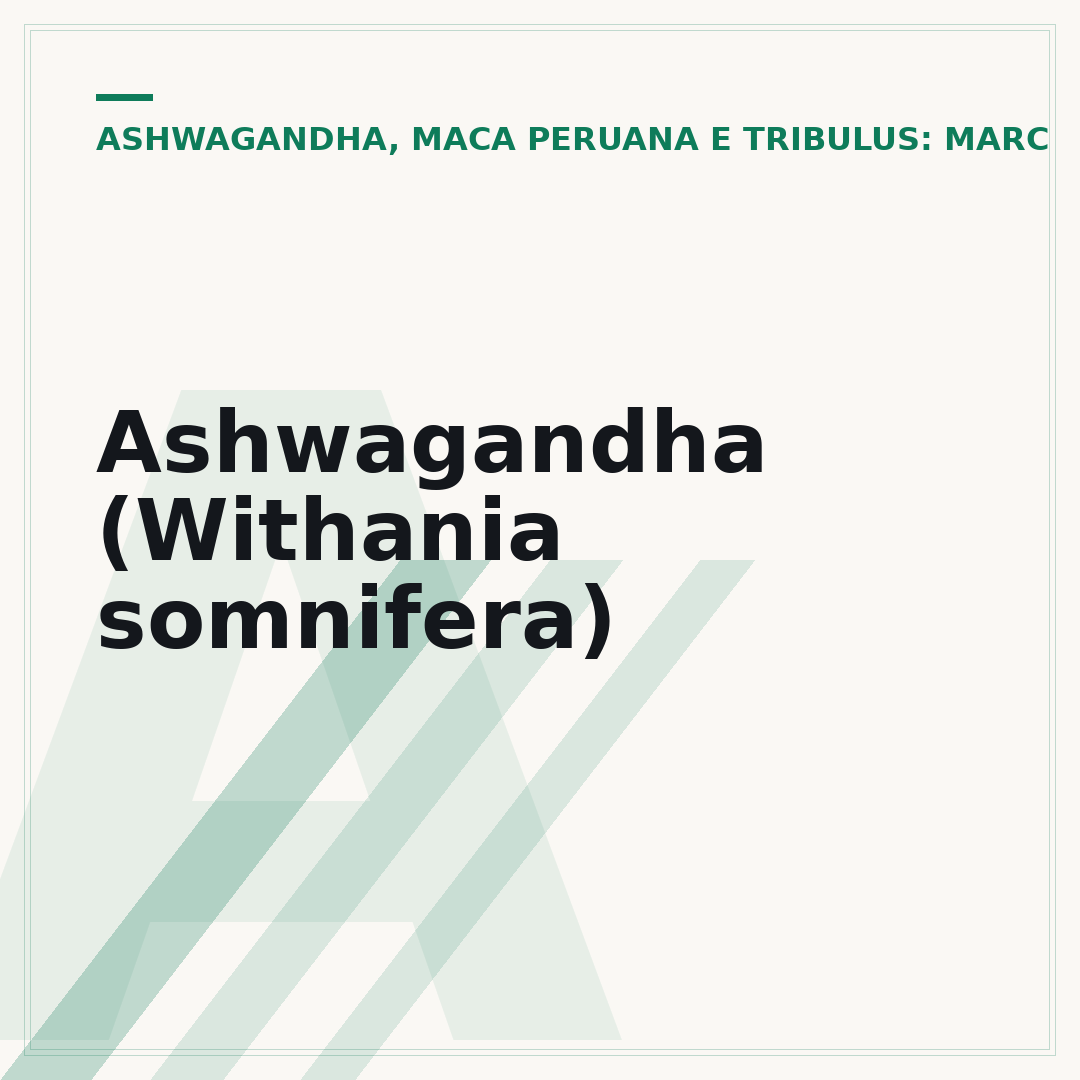 Ashwagandha (Withania somnifera)
