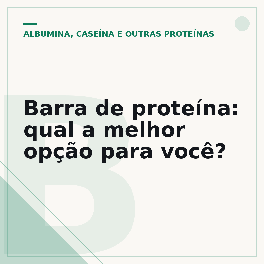 Barra de proteína: qual a melhor opção para você?