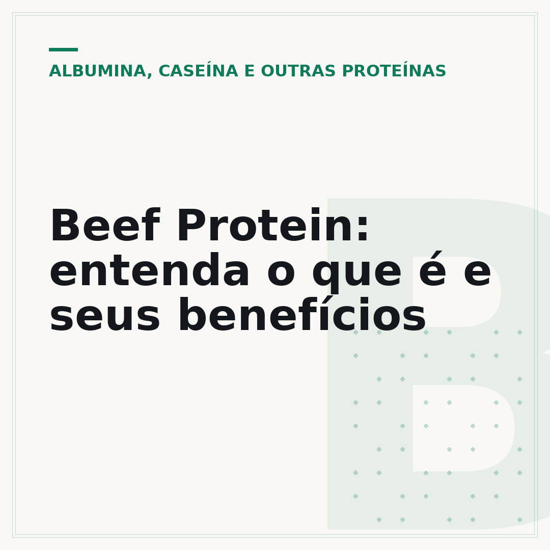 Beef Protein: entenda o que é e seus benefícios
