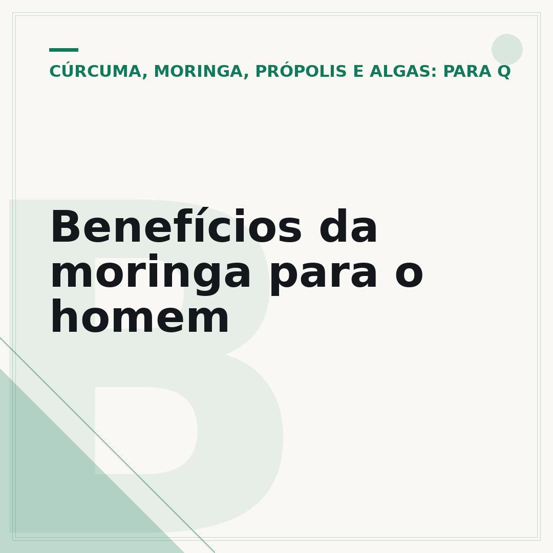 Benefícios da moringa para o homem