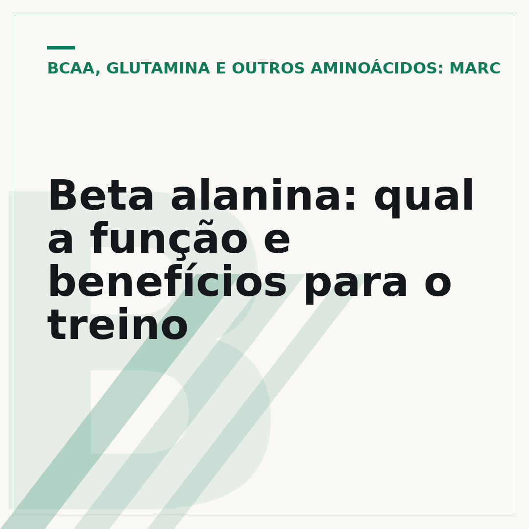 Beta alanina: qual a função e benefícios para o treino