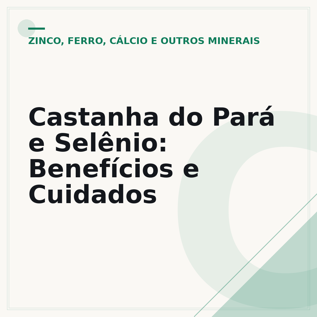 Castanha do Pará e Selênio: Benefícios e Cuidados