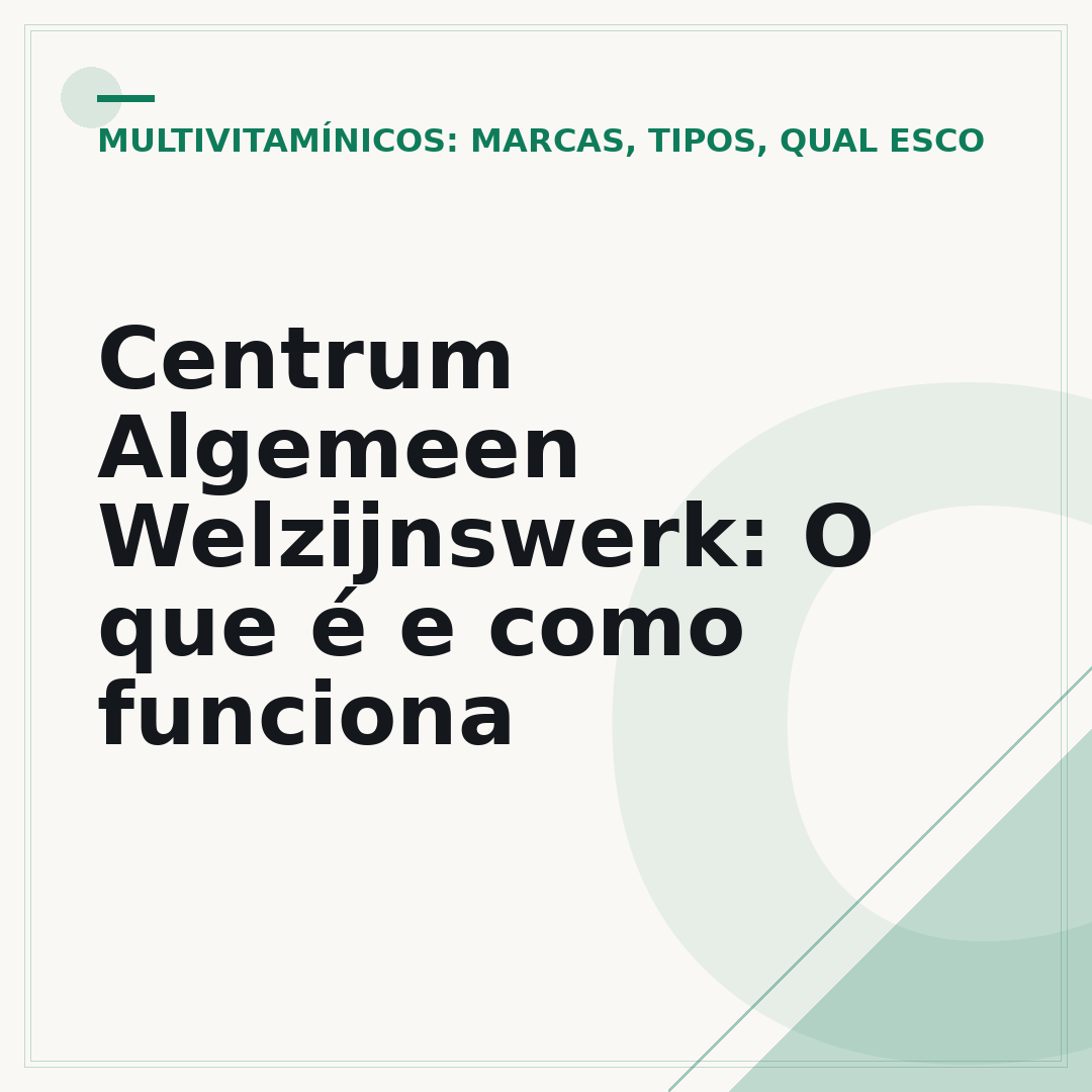 Centrum Algemeen Welzijnswerk: O que é e como funciona