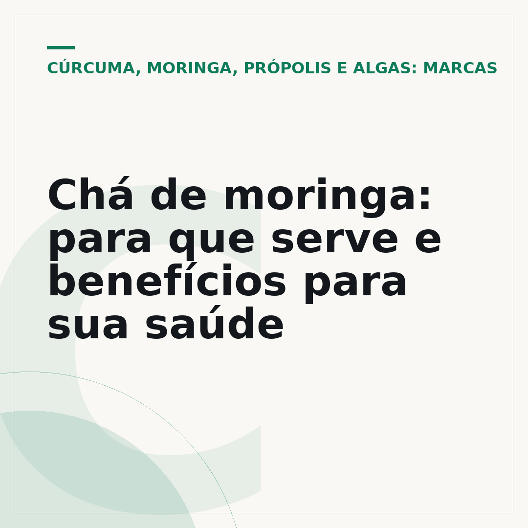 Chá de moringa: para que serve e benefícios para sua saúde