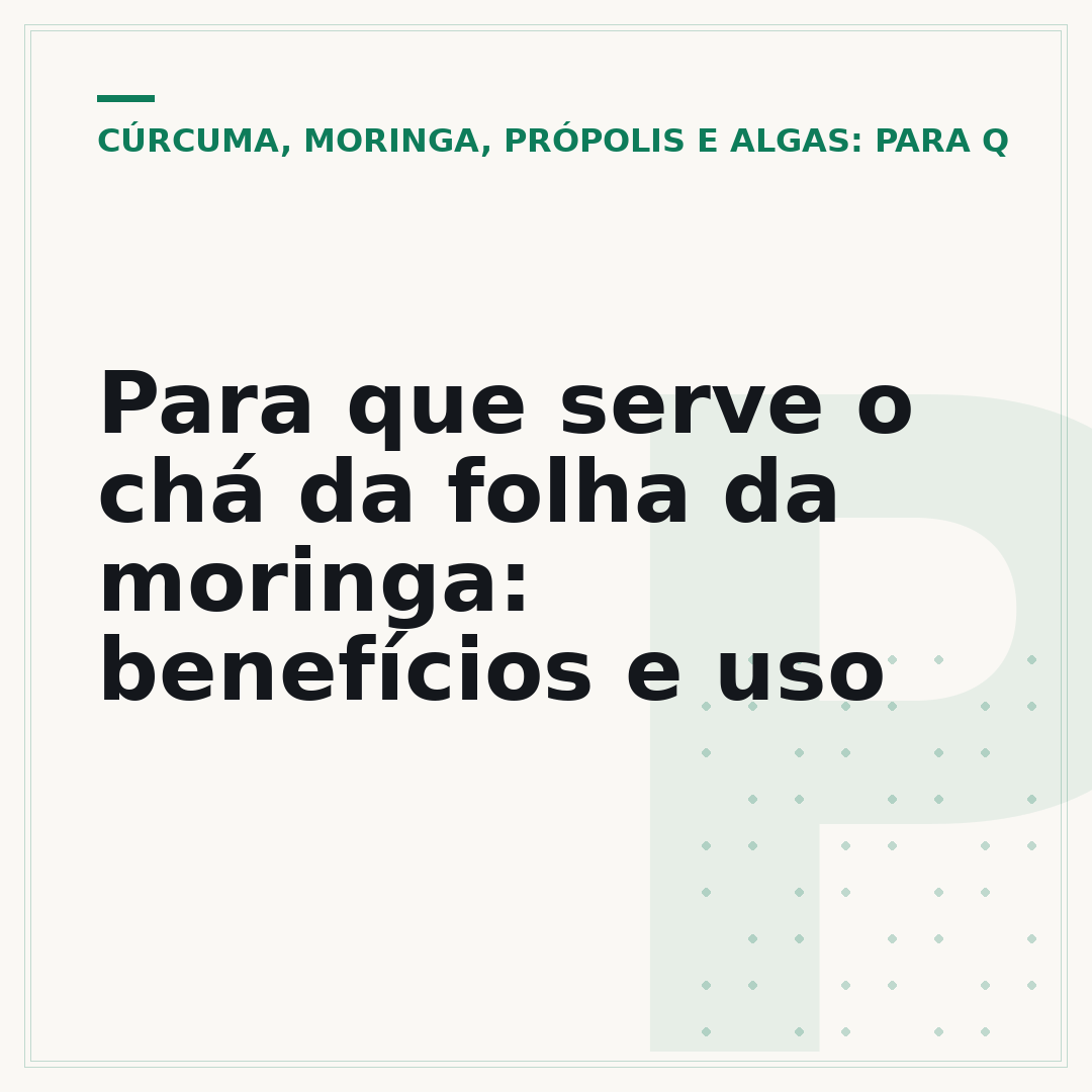 Para que serve o chá da folha da moringa: benefícios e uso