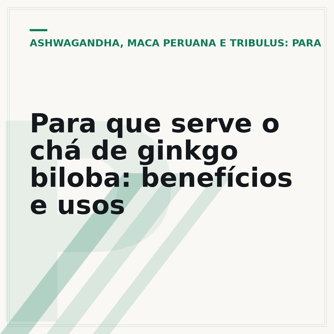 Para que serve o chá de ginkgo biloba: benefícios e usos