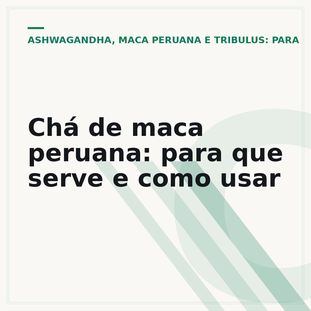 Chá de maca peruana: para que serve e como usar