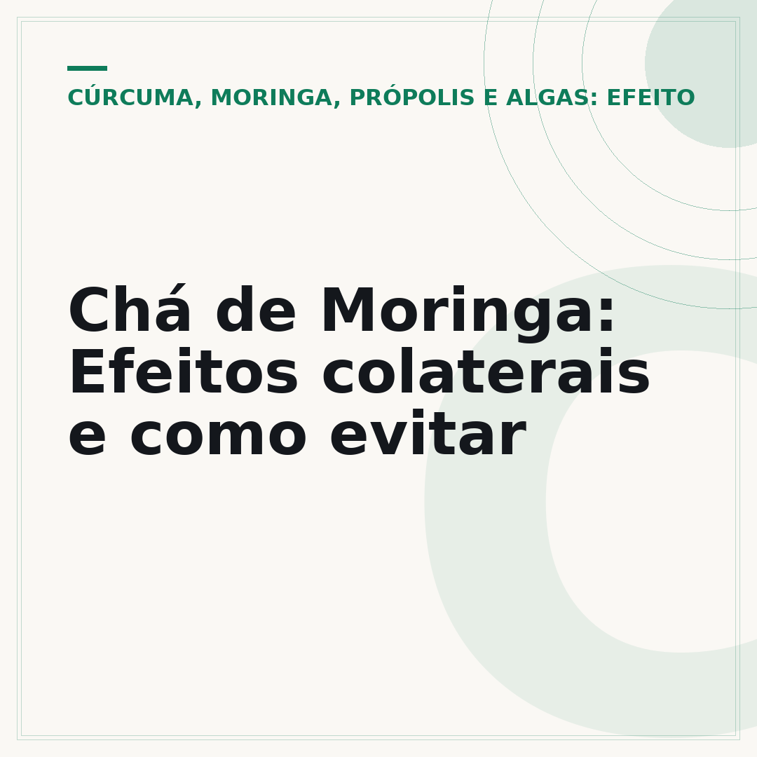 Chá de Moringa: Efeitos colaterais e como evitar