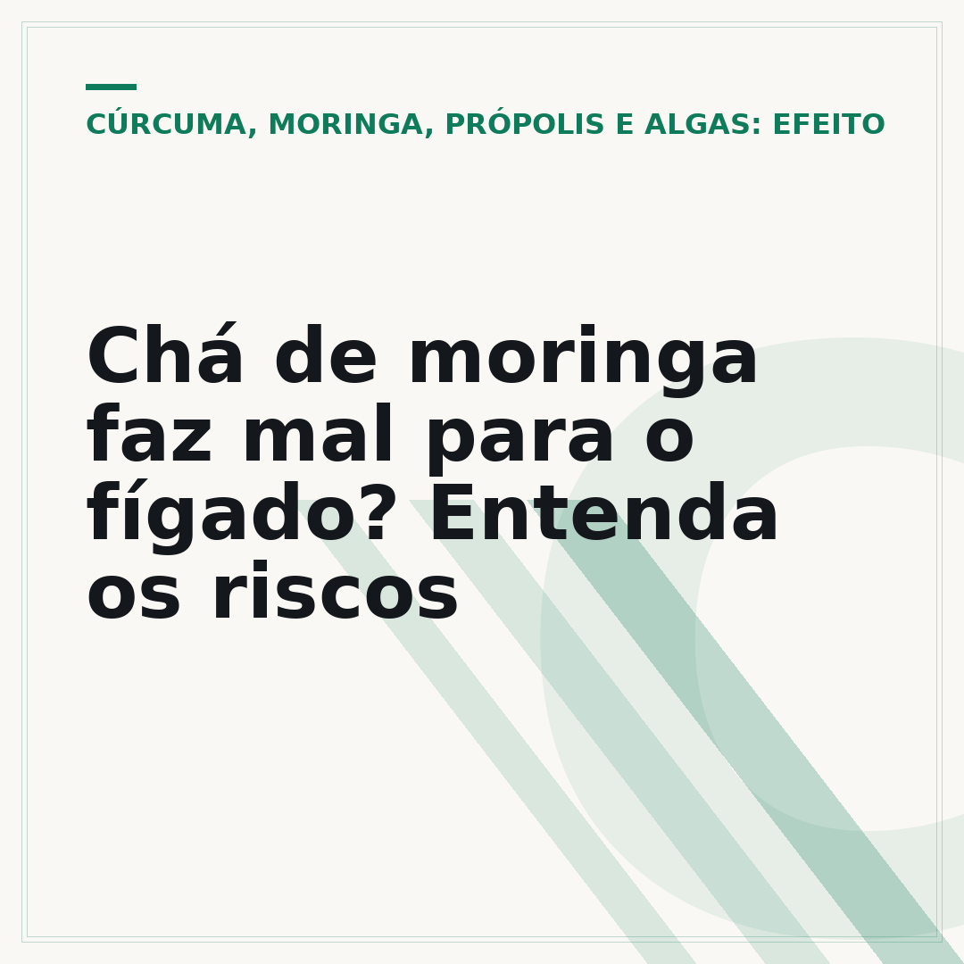 Chá de moringa faz mal para o fígado? Entenda os riscos
