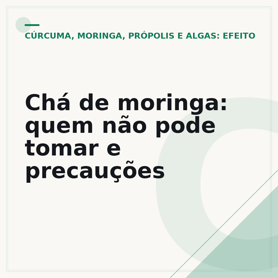 Chá de moringa: quem não pode tomar e precauções