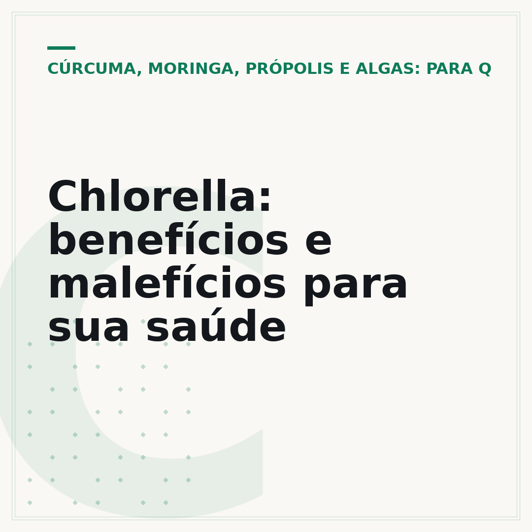 Chlorella: benefícios e malefícios para sua saúde