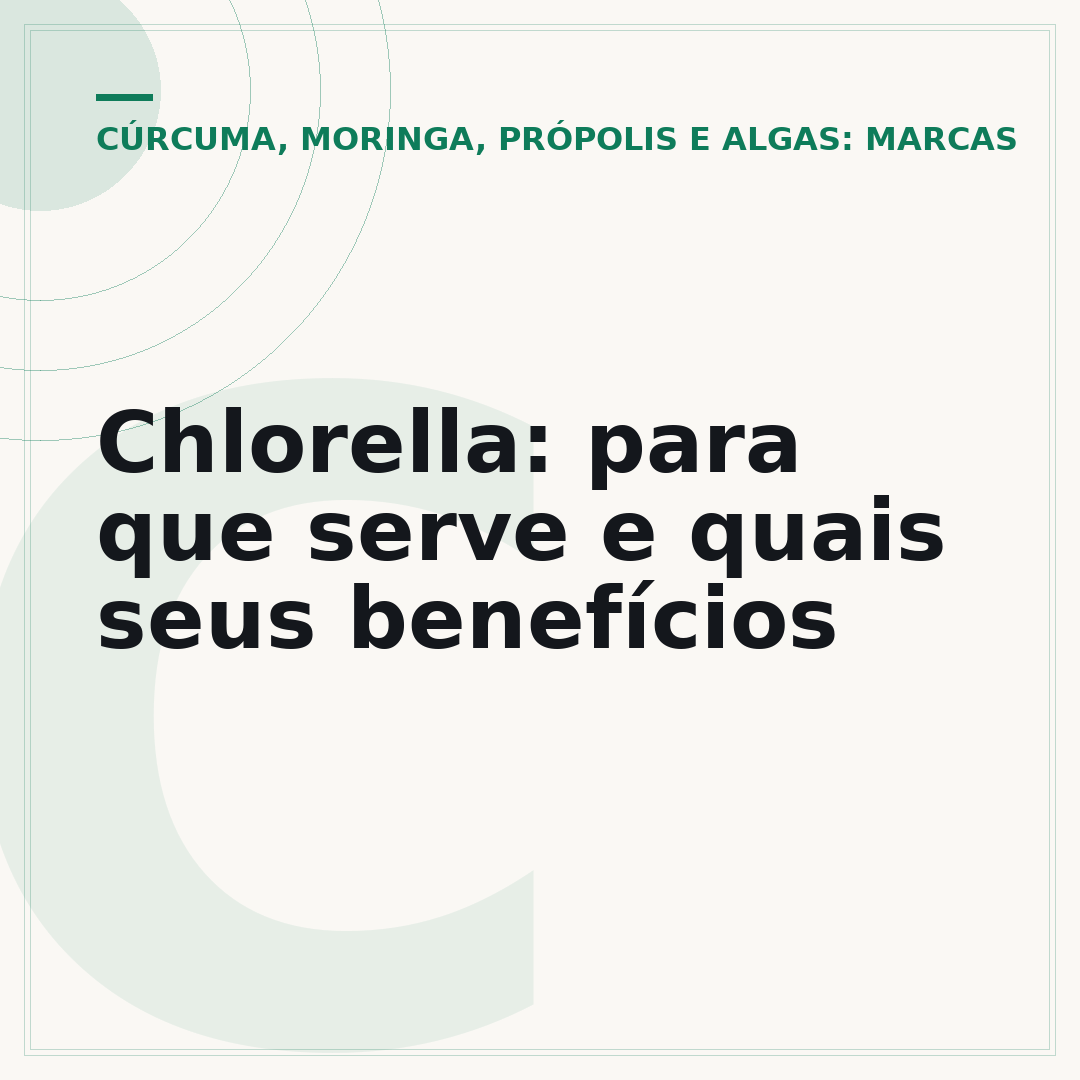 Chlorella: para que serve e quais seus benefícios