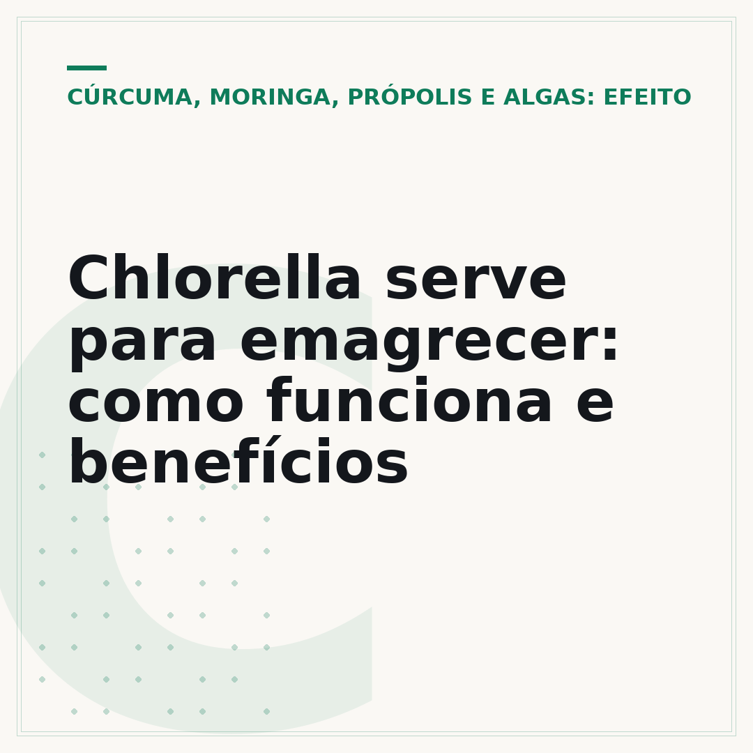 Chlorella serve para emagrecer: como funciona e benefícios